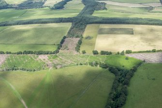 Oblique aerial view