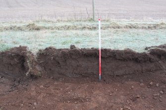 Watching Brief photograph, North facing section of test pit, Loak Farm, Bankfoot, Perth and Kinross