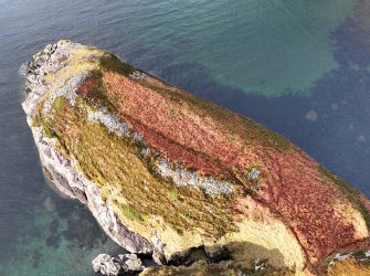 Oblique aerial view