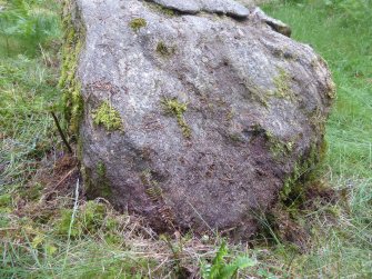 Digital photograph of rock art panel, from Scotland's Rock Art Project, Achadh Mor, Highland