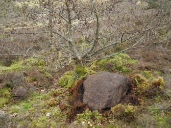 Digital photograph of panel in context without scale, Scotland's Rock Art Project, Strath Sgitheach Cnoc A' Mhuilinn 4, Highland