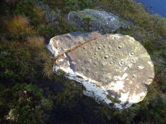 Digital photographs of rock art perpendicular to carved surface(s), Scotland's Rock Art Project, Lochan Hakel, Highland