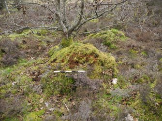 Digital photograph of panel before cleaning, Scotland's Rock Art Project, Strath Sgitheach Cnoc A' Mhuilinn 4, Highland