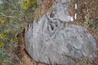 Digital photograph of rock art panel to east, Scotland's Rock Art Project, Castleton 12, Stirling