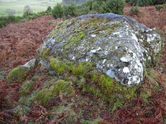 Digital photograph of panel in context with scale, from Scotland's Rock Art Project, Milton of Balnapoul, Sluggan, Highland