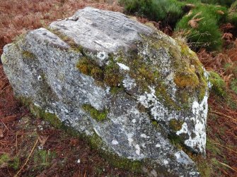Digital photograph of panel, from Scotland's Rock Art Project, Milton of Balnapoul, Sluggan, Highland