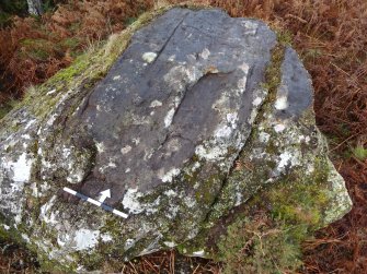 Digital photograph of panel, from Scotland's Rock Art Project, Milton of Balnapoul, Sluggan, Highland