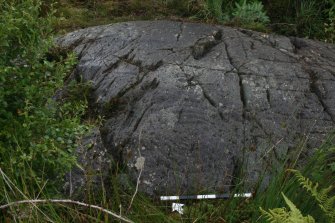 Digital photograph of panel to NE, from Scotland's Rock Art Project, Achnabreck 10, Kilmartin, Argyll and Bute