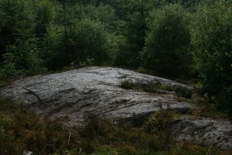 Digital photograph of panel in context without scale, from Scotland's Rock Art Project, Achnabreck 10, Kilmartin, Argyll and Bute