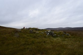 Walkover Survey photograph, Stone structure (62x), Cambusmore Estate, Dornoch, Highland