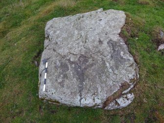 Digital photograph of panel before cleaning, from Scotland's Rock Art Project, Tordarroch 1, Highland