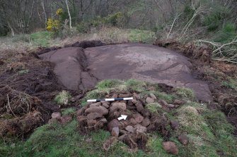 Digital photograph of panel to W, Scotland's Rock Art Project, Auchnacraig 4, West Dunbartonshire