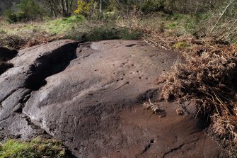 Digital photograph of panel, Scotland's Rock Art Project, Auchnacraig 4, West Dunbartonshire