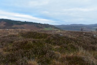 Walkover Survey photograph, Hut circle and attached structure (70a), Cambusmore Estate, Dornoch, Highland