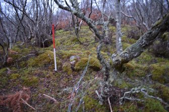 Walkover Survey photograph, Kerb cairn (67), Cambusmore Estate, Dornoch, Highland