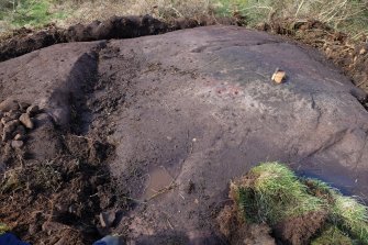 Digital photograph of panel, Scotland's Rock Art Project, Auchnacraig 4, West Dunbartonshire