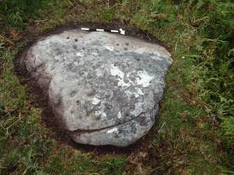 Digital photograph of panel, Scotland's Rock Art Project, Dun Creagach 1, Highland