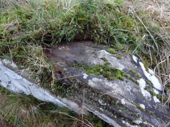 Digital photograph of rock art panel context, Scotland's Rock Art Project, Nether Glenny Natural Feature, Stirling