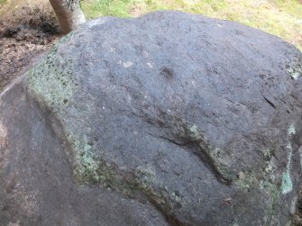 Digital photograph of panel, from Scotland's Rock Art Project, Rogie Upper 39, Highland