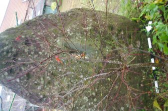 Digital photograph of perpendicular to carved surface(s), from Scotland's Rock Art Project, Crichton Mains, Midlothian