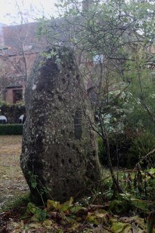 Digital photograph of panel in context without scale, from Scotland's Rock Art Project, Crichton Mains, Midlothian