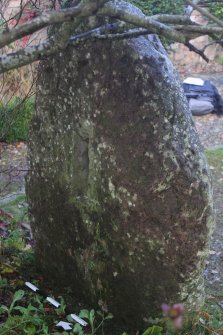 Digital photograph of panel in context without scale, from Scotland's Rock Art Project, Crichton Mains, Midlothian