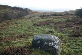 Digital photograph of panel in context without scale, from Scotland's Rock Art Project, Nether Glenny 8, Stirling