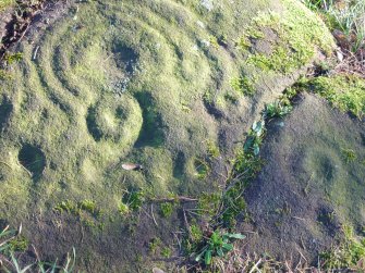 Digital photograph of rock art panel context, Scotland's Rock Art Project, Tormain Hill 1, Edinburgh