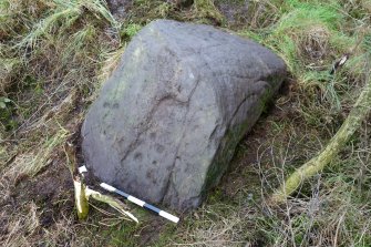 Digital photograph of panel, from Scotland's Rock Art Project, Leanach, Highland