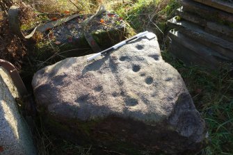 Digital photograph of panel, from Scotland's Rock Art Project, Swordale Farm 1, Highland
