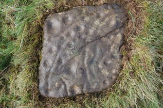 Digital photograph perpendicular to carved surface, Scotland's Rock Art Project, Ardoch, Highland