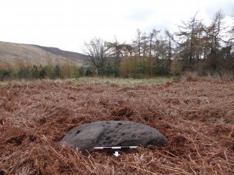 Digital photograph of panel to S, Scotland's Rock Art Project, Kinerras, Highland