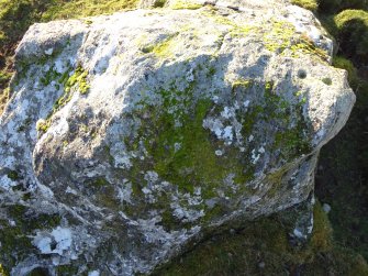 Digital photograph of panel perpendicular to carved surface(s), from Scotland's Rock Art Project, Balnafoich 2, Highland