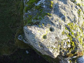 Digital photograph of panel close ups of motifs, from Scotland's Rock Art Project, Balnafoich 2, Highland