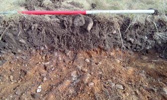 Trial Trench Evaluation Photograph, NE-facing representative section, A9 Dualling - Tomatin to Moy, Highland