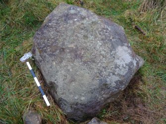 Digital photograph of rock art panel context, Scotland's Rock Art Project, Fodderty 3, Highland