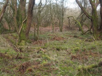 View of remains of Gas House platform, Mannheim Oleum Plant Laboratory which provided power to the now demolished buildings