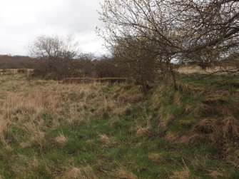 View of the N end of the distillery from the NE corner (right) with the W wall of the laboratory in the middle distance