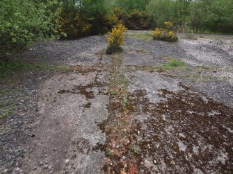 View to the ESE of the cement floor to where it is crossed by the Narrow Gauge Railway fronting the Deciduous scrub woodland in the background. The brick foundations of the internal walls are visible