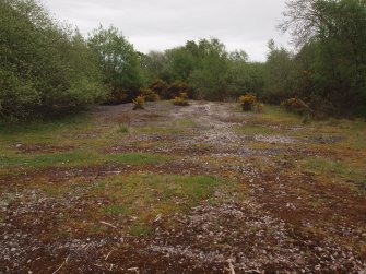 View to the ESE of the cement floor to where it is crossed by the Narrow Gauge Railway fronting the deciduous scrub woodland in the background