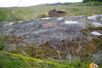 Digital photograph of perpendicular to carved surface(s), from Scotland's Rock Art Project, Strath Sgitheach Balnacrae West Lower, Highland