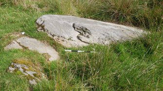 Digital photograph of rock art panel context, Scotland's Rock Art Project, Craigberoch 2, Bute, Argyll and Bute