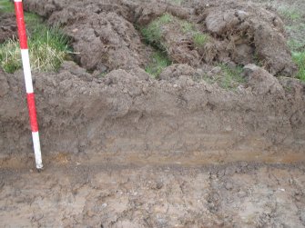 Evaluation photograph, East facing section taken from E (Trench 14), Knockroom Farm, Cumnock, East Ayrshire