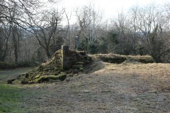 View from the ground.