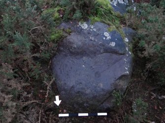 Digital photograph of perpendicular to carved surface(s), from Scotland's Rock Art Project, Castleton 7, Stirling