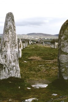 Avenue from chambered cairn looking N