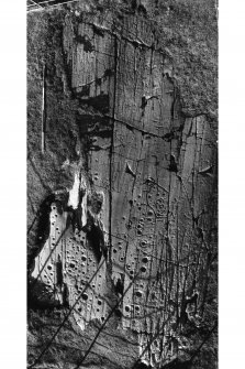 Publication photograph of cup and ring markings, Kilmichael Glassary, No. 170 (1), from SE.