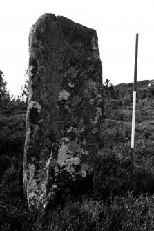 View of standing stone B from the south east.