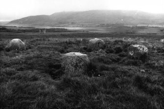 View of stone circle from south west.