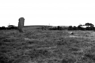 View of stone circle from S.